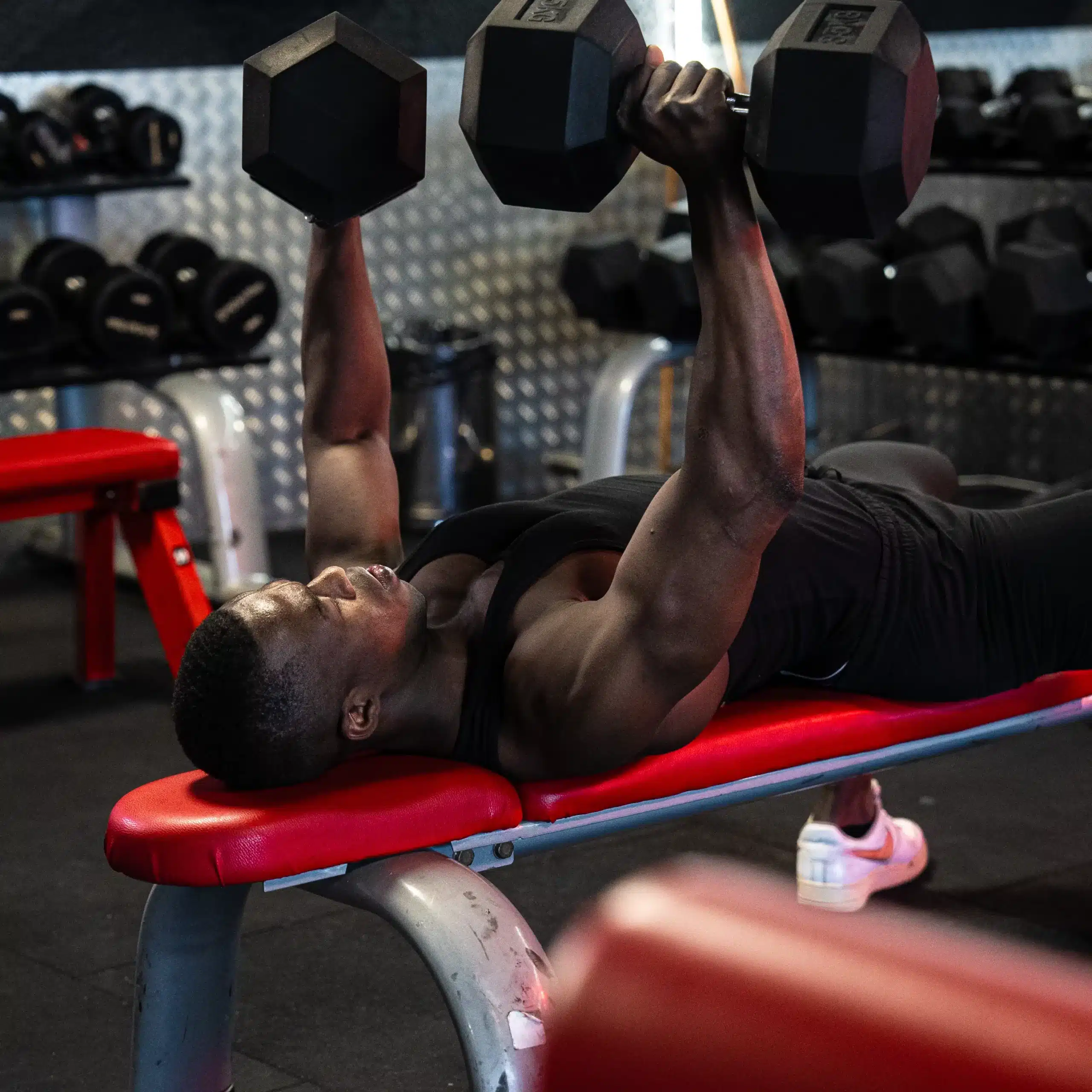Musculation