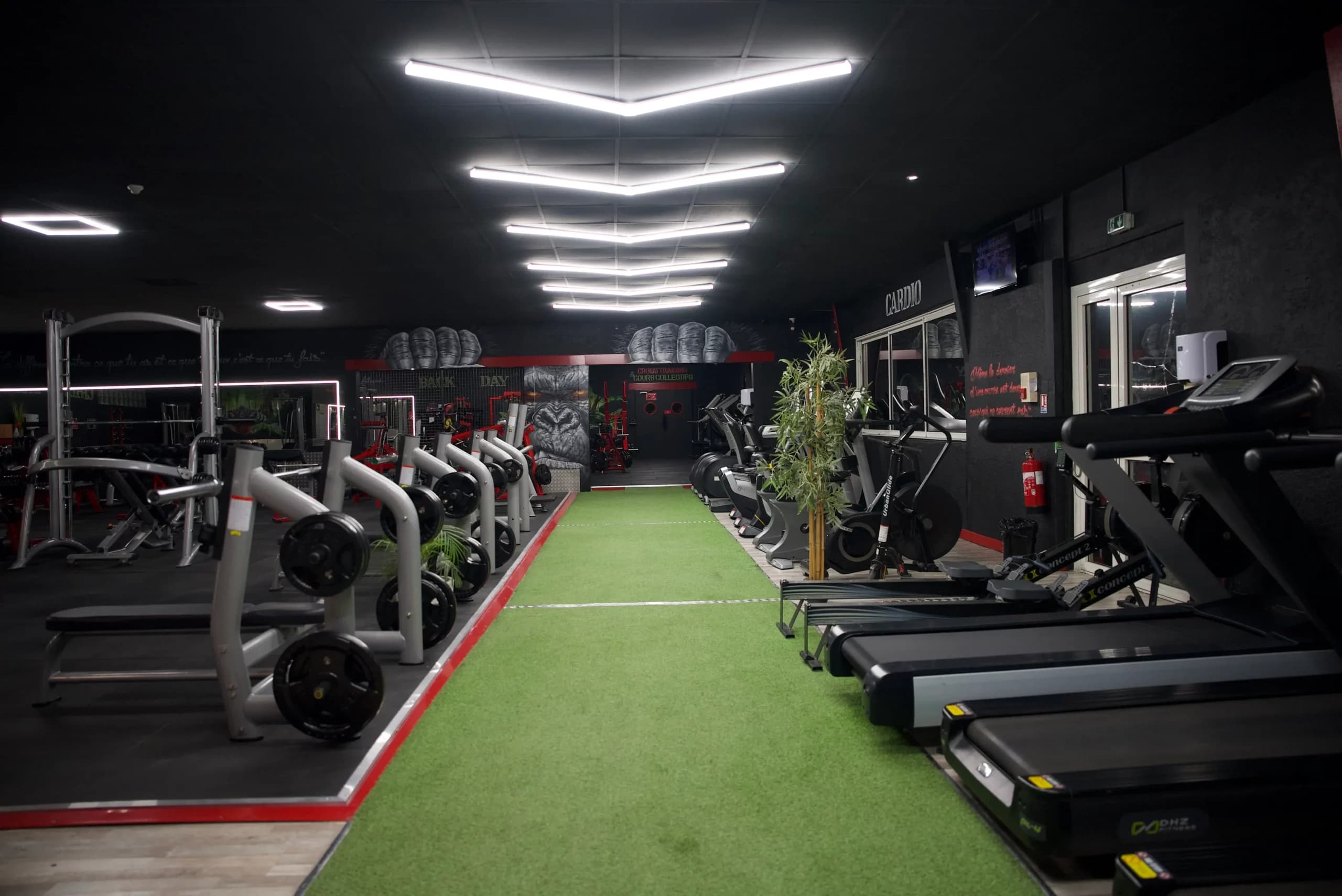 Cardio training